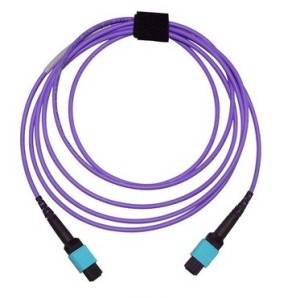 OM4 plus fiber system